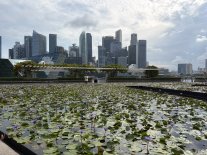 marinabay1.JPEG marinabay1.JPEG