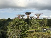 gardens by the bay.JPEG gardens by the bay.JPEG