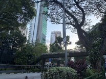 centro verde.JPEG centro verde.JPEG