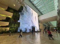 IMG_1226.JPEG
