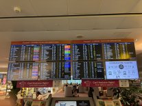 IMG_1231.JPEG