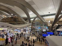 IMG_1291.JPEG