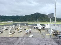 IMG_6193.jpeg IMG_6193.jpeg