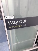 IMG_6608.jpeg