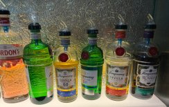 TR_Padania-06.jpg