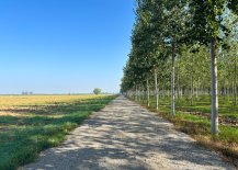 TR_Padania-45.jpg