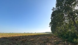 TR_Padania-42.jpg