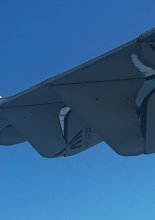 datflaps.jpg