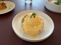 IMG_4999.jpeg IMG_4999.jpeg