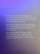 IMG_5999.jpeg IMG_5999.jpeg