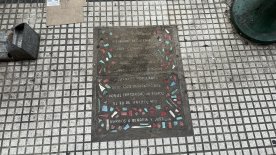 IMG_7606.JPEG