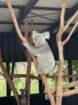 IMG_6307.jpeg IMG_6307.jpeg