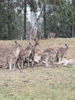 IMG_6288.jpeg IMG_6288.jpeg
