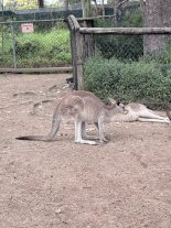 IMG_6298.jpeg IMG_6298.jpeg