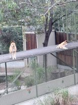 IMG_6231.jpeg IMG_6231.jpeg