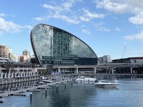 IMG_6505.jpeg