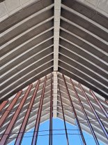 IMG_6446.jpeg