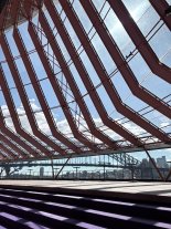 IMG_6447.jpeg