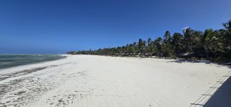 20260901_150559.jpg