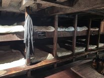 IMG_6685.jpeg IMG_6685.jpeg
