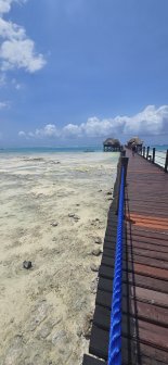 20260903_120812[1].jpg