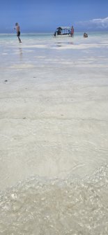 20260902_123440[1].jpg