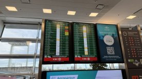 IMG_7677.JPEG
