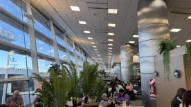 IMG_7679.JPEG