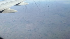 IMG_7705.JPEG