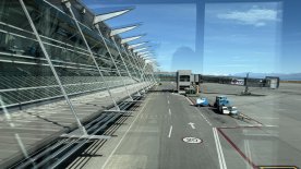 IMG_7734.JPEG