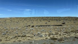 IMG_7736.JPEG