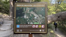 IMG_7856.JPEG
