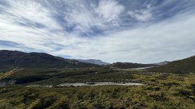 IMG_7973.JPEG