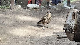 IMG_7957.JPEG