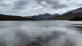 IMG_8150.JPEG