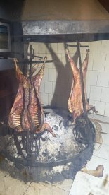 IMG_8384.JPEG IMG_8384.JPEG