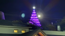 IMG_8385.JPEG IMG_8385.JPEG