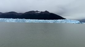 IMG_8394.JPEG IMG_8394.JPEG