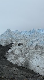 IMG_8449.JPEG IMG_8449.JPEG