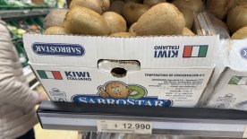 IMG_8733.JPEG IMG_8733.JPEG
