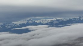 IMG_8752.JPEG IMG_8752.JPEG