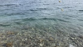 IMG_8887.JPEG IMG_8887.JPEG