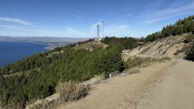 IMG_9208.JPEG IMG_9208.JPEG