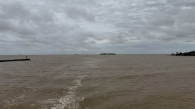 IMG_9321.JPEG IMG_9321.JPEG
