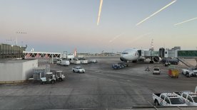 IMG_9536.JPEG IMG_9536.JPEG