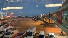 IMG_9540.JPEG IMG_9540.JPEG