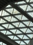 IMG_9191.jpeg