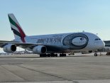 EK MALPENSA.jpg
