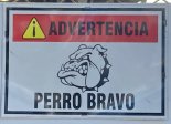 perro.jpg