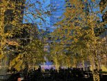 IMG_9783 - Copy.jpg